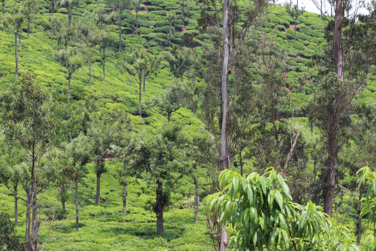 Rustling River Resort Ooty Dış mekan fotoğraf