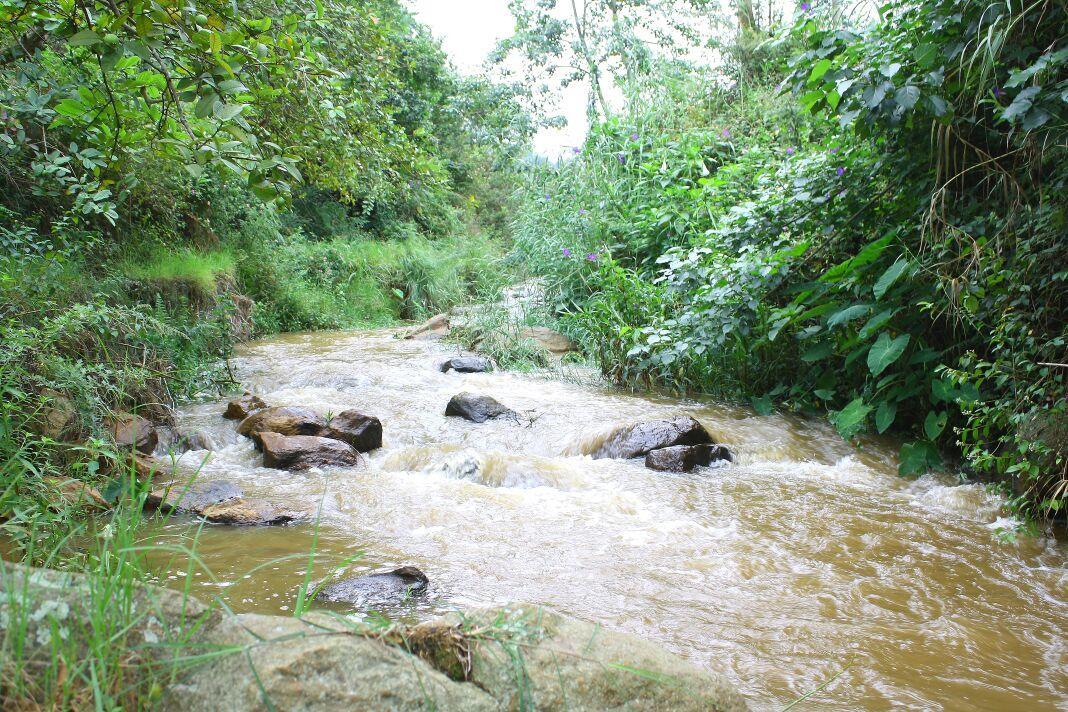 Rustling River Resort Ooty Dış mekan fotoğraf
