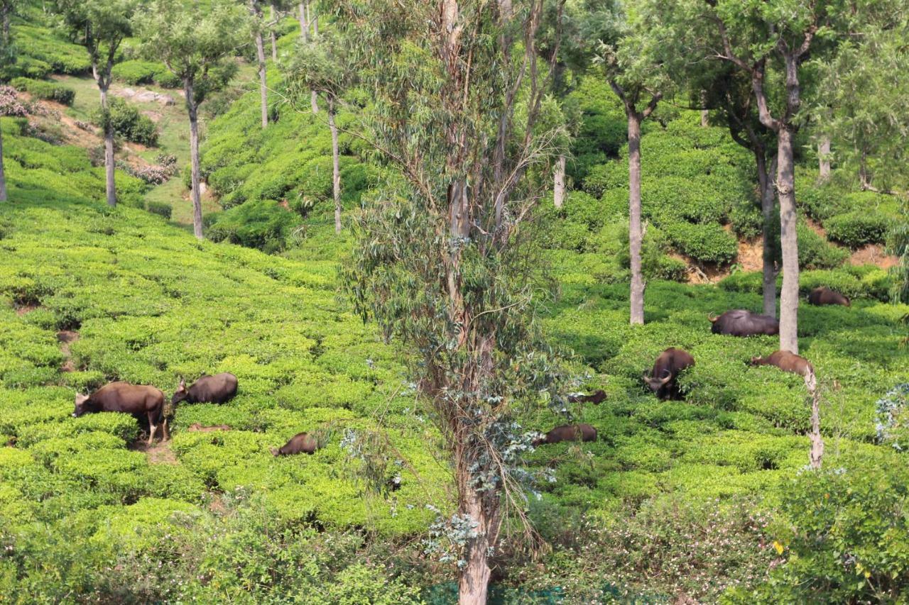 Rustling River Resort Ooty Dış mekan fotoğraf